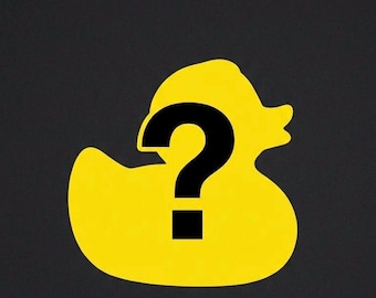 Custom Designed Duck Toy / For 5+ Orders Only – Message Us Your Design