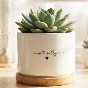 May include: A white ceramic cylindrical planter with a bamboo saucer base, containing a green succulent plant. The front of the planter features the black text "aunt sally" in a cursive script, positioned above a small black heart icon.