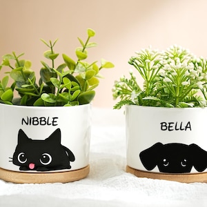 May include: Two white ceramic plant pots with cartoon animal designs and greenery. One pot features a black cat design with the name "NIBBLE", and the other has a black dog design with the name "BELLA". Both pots sit on round wooden saucers.