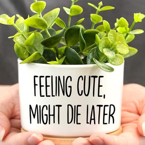 Funny Succulent Pot,Funny Words Pot,Personalized Flower Pots,Housewarming Gifts,Flower Pot,Ceramic Pot With Drainage,Mini Succulent Planter