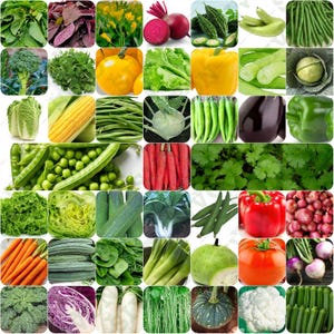 May include: A vibrant collage of fresh vegetables, including broccoli, lettuce, corn, carrots, peppers, and more. The image showcases a variety of colors and textures, highlighting the diversity of produce available.