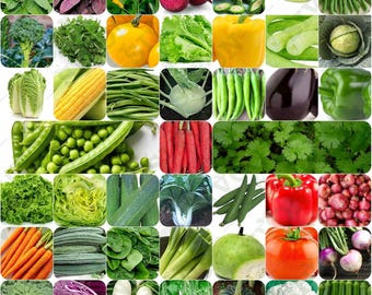 45 Varieties of Vegetable Seeds for Home Garden, Organic & Hybrid, Perfect for Home Gardening, Planting For Pots and Patio, Wide Variety