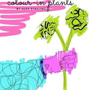 Colour in plants