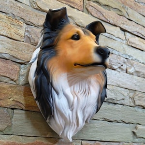 May include: A detailed wall sculpture of a Collie dog's head, with realistic fur and facial details. The sculpture is tan, black, and white, mounted on a textured stone wall.
