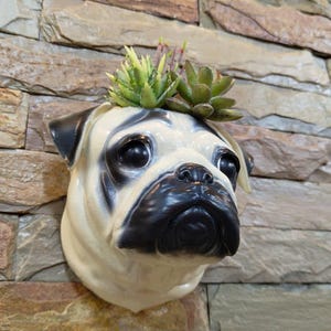 Puede incluir: Una maceta de cerámica con forma de pug en blanco y negro, montada en una pared de piedra. La maceta presenta una cara de pug detallada y contiene pequeñas suculentas verdes. La cara del pug tiene ojos grandes y oscuros y un hocico arrugado.