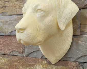 Labrador retriever hundhuvud väggmontering 3D-utskrift STL-fil, hundhuvud, husdjur, staty, diorama, djur
