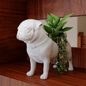 Puede incluir: Una maceta de cerámica blanca con forma de perro pug, con plantas verdes. El pug tiene un collar y está sobre una estantería de madera. El fondo es un mueble de madera oscura con un espejo.