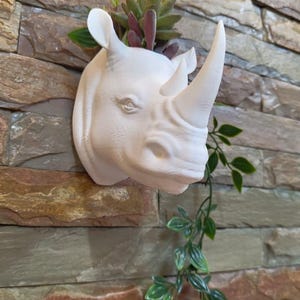 Rhino head wall mount planter pot flower vase 3d printing stl file, farm pets, statue, diorama, pets, animals