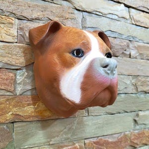 Könnte beinhalten: Eine braun-weiße Hunde-Kopfskulptur, die an einer Steinmauer befestigt ist. Die Skulptur weist realistische Details auf, darunter die Augen, die Nase und das Fell des Hundes. Der Kopf des Hundes ist leicht zur Seite geneigt, was ihm ein lebensechtes Aussehen verleiht. Die Wand besteht aus verschiedenen Braun- und Beigetönen.