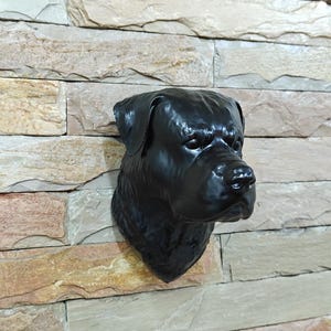 Puede incluir: Escultura de cabeza de perro Rottweiler negro montada en una pared de piedra multicolor. La escultura es detallada, con un acabado brillante, y captura los rasgos del perro. La pared tiene una apariencia natural y texturizada.