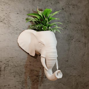 Elephant head wall mount planter pot flower vase 3d printing stl file, farm pets, statue, diorama, pets, animals