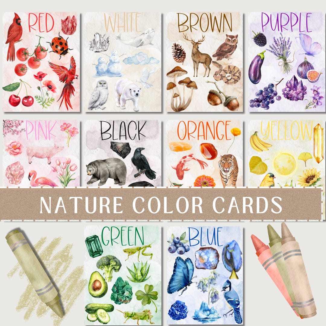 Large Nature Color Cards - Nature Unit Study - Preschool Printable ...