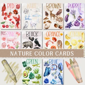 Large Nature Color Cards - Nature Unit Study - Preschool Printable - Classroom Playroom Decor -