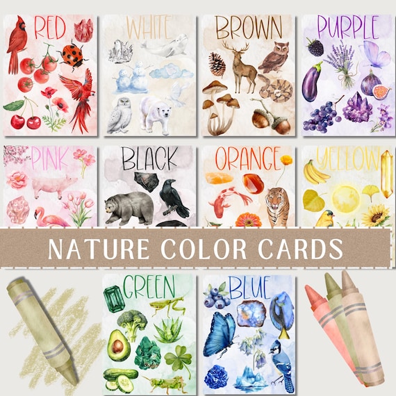 Large Nature Color Cards - Nature Unit Study - Preschool Printable - Classroom Playroom Decor -