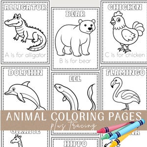 May include: Black and white animal coloring pages with the words "Animal Coloring Pages plus Tracing". The pages feature illustrations of an alligator, bear, chicken, dolphin, eel, and flamingo. Crayons are in the bottom right corner.