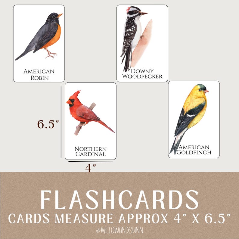 May include: Flashcards featuring watercolor illustrations of North American birds, including an American Robin, Downy Woodpecker, Northern Cardinal, and American Goldfinch. Cards measure approximately 4" x 6.5".