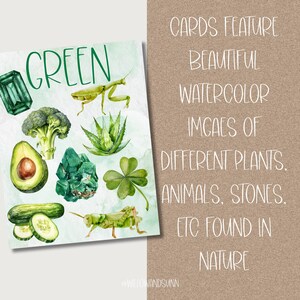 May include: A watercolor illustration featuring green elements, including an emerald, broccoli, avocado, crystals, cucumber, and a four-leaf clover. The word "GREEN" is written in large, green letters. The text on the right says "CARDS FEATURE BEAUTIFUL WATERCOLOR IMAGES..."