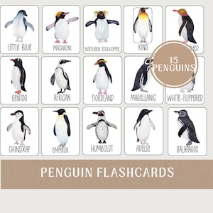 May include: Set of 15 penguin flashcards featuring watercolor illustrations of various penguin species, each labeled with its name. The cards include species like Little Blue, Macaroni, and Emperor, with the text "PENGUIN FLASHCARDS" at the bottom.