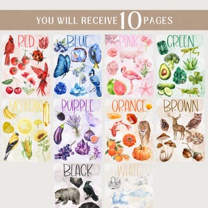 May include: A collection of ten watercolor pages, each showcasing a different color with corresponding illustrations. Colors include red, blue, pink, green, yellow, purple, orange, brown, black, and white. The text "YOU WILL RECEIVE 10 PAGES" is at the top.