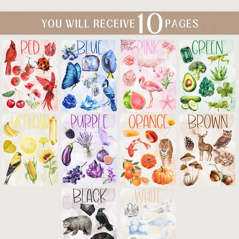 May include: A collection of ten watercolor pages, each showcasing a different color with corresponding illustrations. Colors include red, blue, pink, green, yellow, purple, orange, brown, black, and white. The text "YOU WILL RECEIVE 10 PAGES" is at the top.