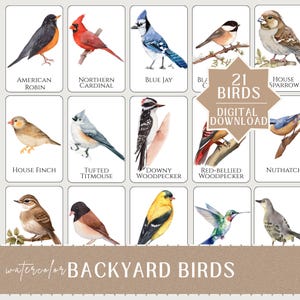 May include: A digital download featuring watercolour illustrations of 21 garden birds, including the American Robin, Northern Cardinal, and Blue Jay. The artwork is displayed on individual cards with the bird's name below.