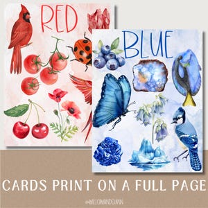 May include: Two watercolor art prints featuring illustrations of red and blue objects. The "Red" print includes a cardinal, tomatoes, cherries, and a ladybug. The "Blue" print showcases a butterfly, blueberries, and a blue jay. Text reads "CARDS PRINT ON A FULL PAGE".