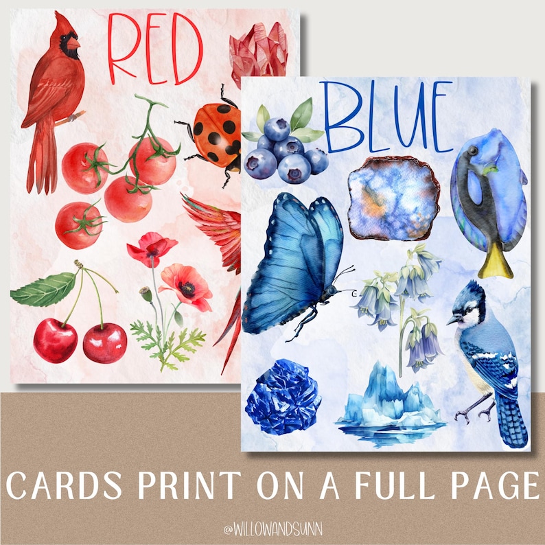 May include: Two watercolor art prints featuring illustrations of red and blue objects. The "Red" print includes a cardinal, tomatoes, cherries, and a ladybug. The "Blue" print showcases a butterfly, blueberries, and a blue jay. Text reads "CARDS PRINT ON A FULL PAGE".