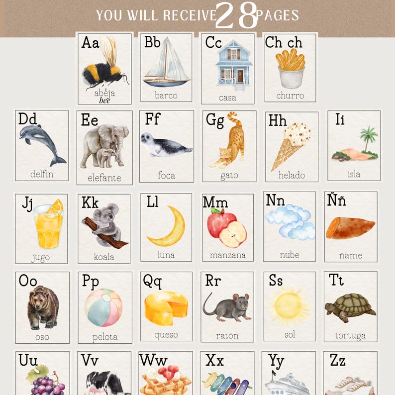 May include: A set of 28 educational flashcards featuring watercolor illustrations of various objects, each representing a letter of the alphabet. The cards include images of a bee, sailboat, house, churro, dolphin, and more. Text in the image reads "YOU WILL RECEIVE 28 PAGES".