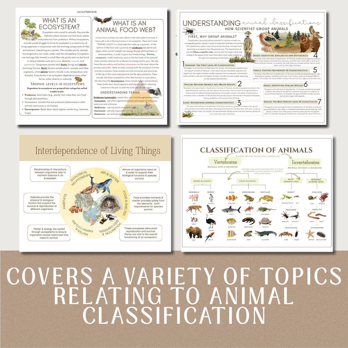 Classifying Animals Worksheet.pdf Animal Classification Worksheets: Montessori Science, Biology Learning ...