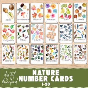 Tarjetas numéricas con temática de naturaleza (del 1 al 20) - Unidad de estudio de matemáticas sobre la naturaleza - Materiales de aprendizaje Montessori para la educación en casa - Aprendizaje de números - Charlotte Mason