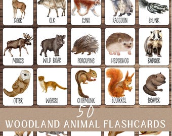 Woodland Animals Flashcards | Nature-Themed Learning (PDF)