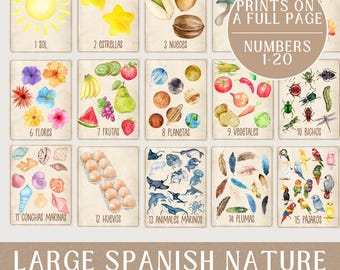 Spanish Nature Number Flashcards 1-20: Classroom Printable (PDF Download)