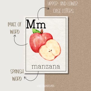 May include: A watercolor illustration of an apple with the letter "Mm" in uppercase and lowercase. The word "manzana" is written below the apple. The image is on a white background with a black border.