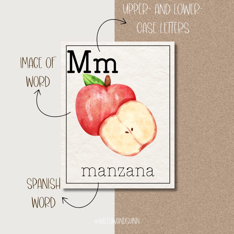 May include: A watercolor illustration of an apple with the letter "Mm" in uppercase and lowercase. The word "manzana" is written below the apple. The image is on a white background with a black border.