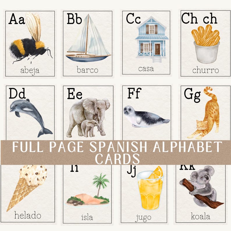 May include: A set of illustrated Spanish alphabet flashcards. Each card features a letter and a corresponding image with the Spanish word. Images include a bee, sailboat, house, churros, dolphin, elephant, seal, and cat. The text "FULL PAGE SPANISH ALPHABET CARDS" is also present.