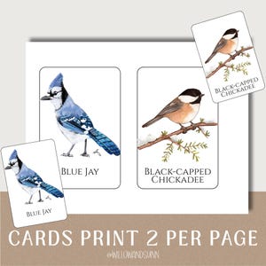 May include: Cards featuring watercolor illustrations of birds, including a Blue Jay and a Black-Capped Chickadee. The text "BLUE JAY" and "BLACK-CAPPED CHICKADEE" are printed below the bird images. The text "CARDS PRINT 2 PER PAGE" is also visible.