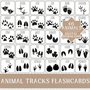 46 Animal Tracks Mini Flashcard Pack - Printable Flashcards for Kids - Nature Unit Study - Homeschool Montessori Resources - Animal ID Cards