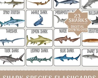Shark Species Montessori Flashcards for Kids | Ocean Animal Study Unti (Printable PDF)
