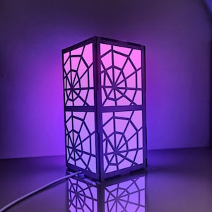 Minimalist Spider Web Night Light, Dynamic Lights, 3 Sides Illuminated RGB Light Box for Room Decor