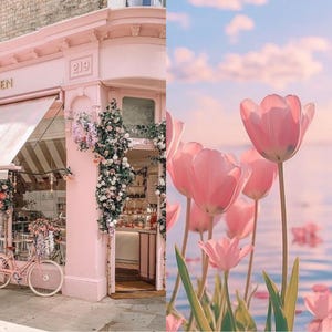 Pink aesthetic branding stock photos mockup for feminine businesses, showcasing luxury minimal pink visuals for websites, email marketing, digital products, and Etsy shop branding.