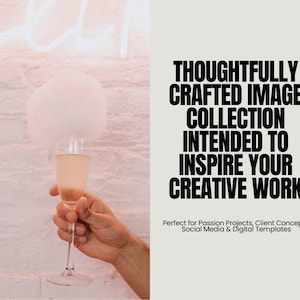 Faceless feminine pink aesthetic stock images displayed in Instagram story layouts, Canva-editable PLR MRR bundle designed for social media managers, coaches, and content creators.