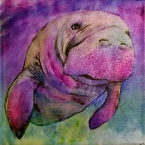 Watercolor Manatee art, 12 x 12 art print, florida art, crystal river artwork, manatees, manatee wall art