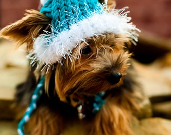 Dog Hat for the winter - Turquoise - Blue - Teal