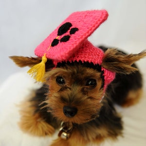 Hot Pink Dog Graduation Hat 2022 image 1