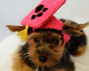 Hot Pink Dog Graduation Hat 2022