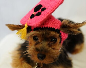Hot Pink Dog Graduation Hat 2025-2026