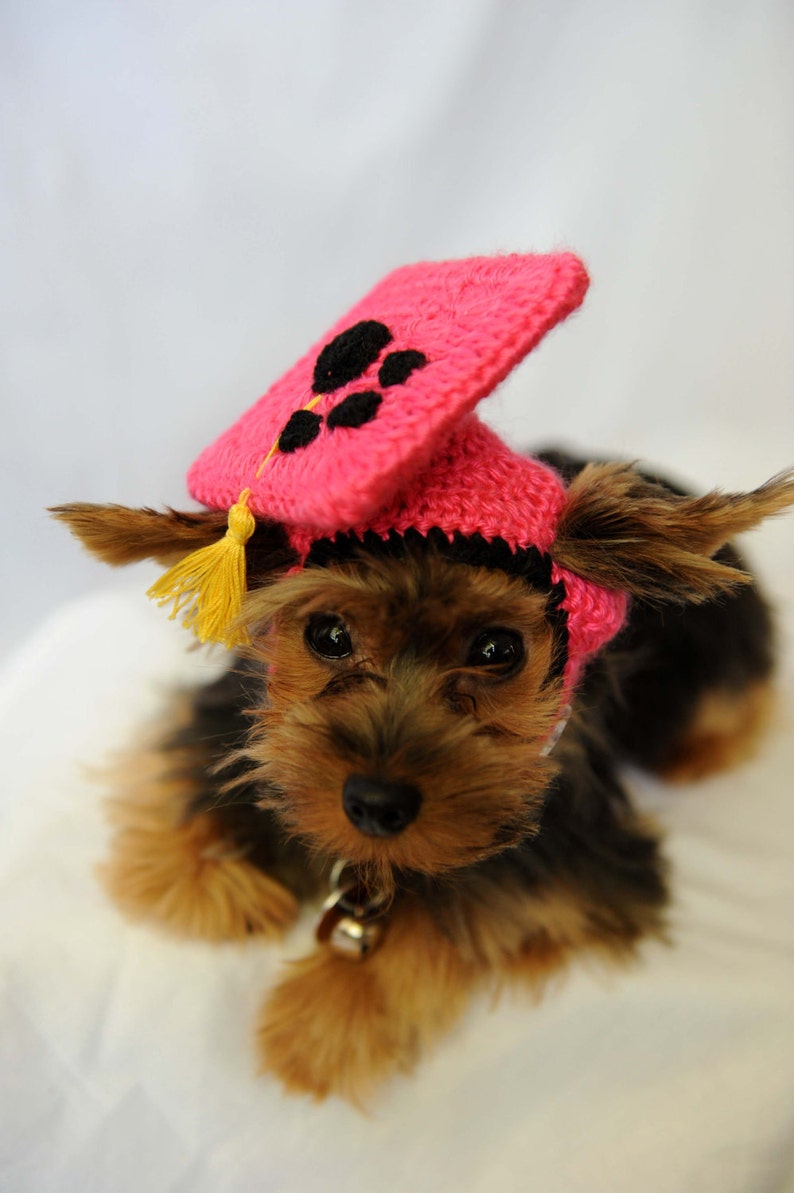 Hot Pink Dog Graduation Hat 2022 image 1