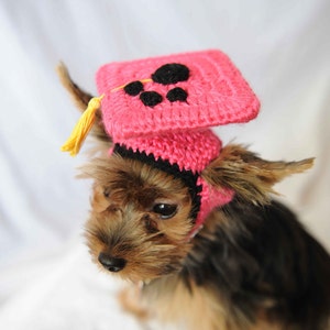 Hot Pink Dog Graduation Hat 2022 image 4