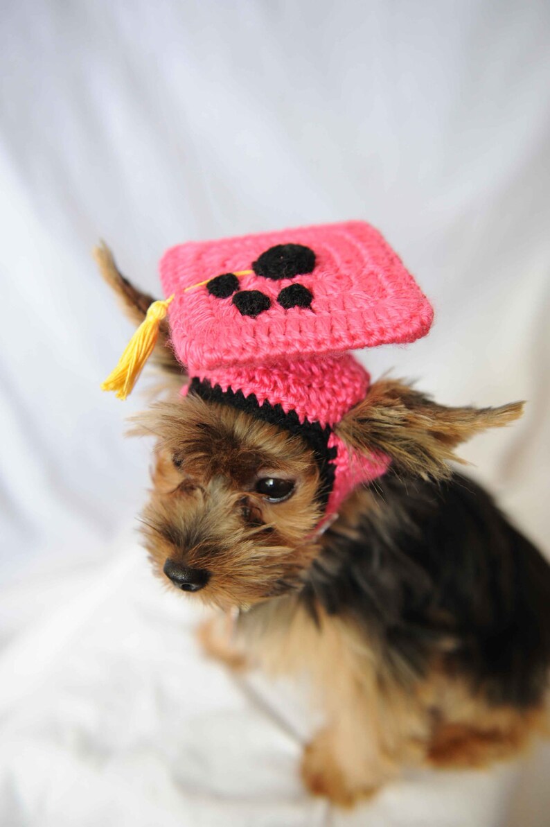 Hot Pink Dog Graduation Hat 2022 image 4