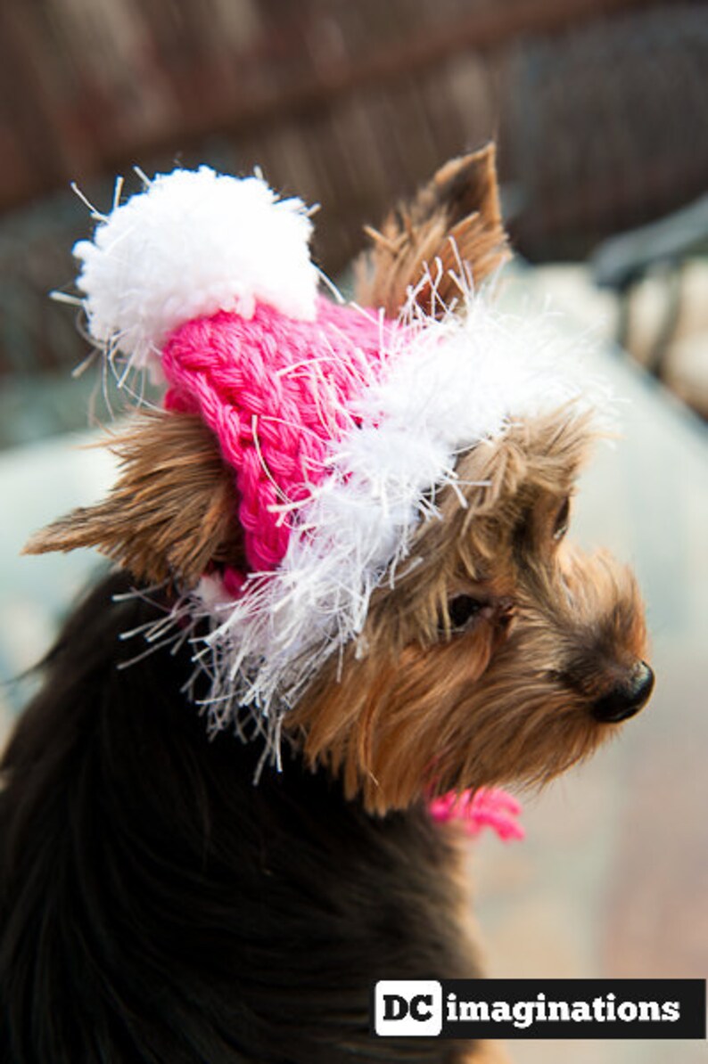 Dog Hat for the Winter Hot Pink Etsy